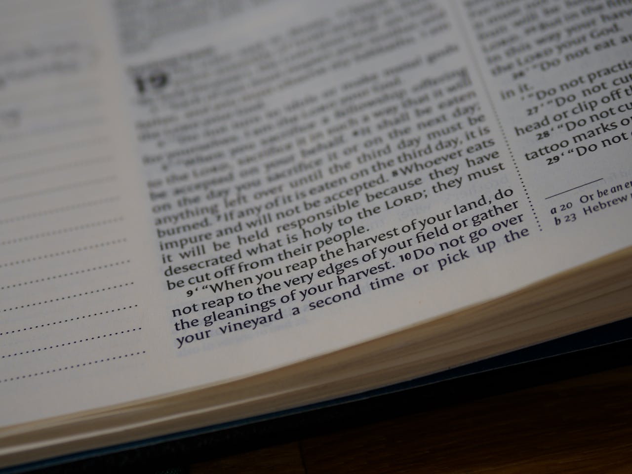 Macro shot of a Bible page focusing on Leviticus text, ideal for study and devotion themes.